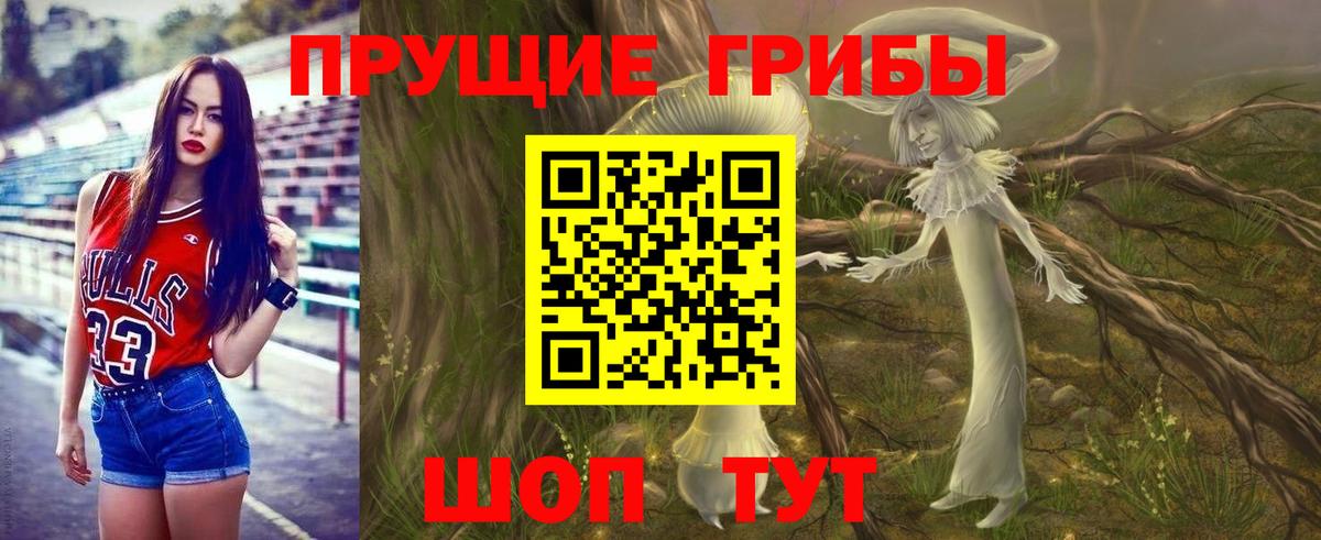 Галлюциногенные грибы мицелий  Вход с VPN  Галлюциногенные грибы Psilocybe  Гудермес 